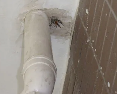 武汉市漏水检测哪家好